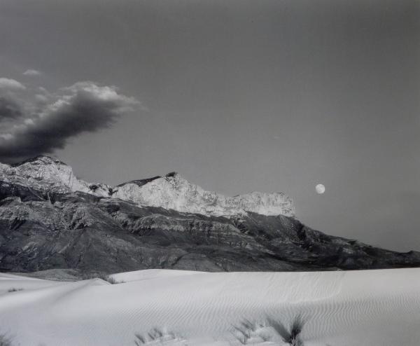 Gypsum Dunes, Salt Basin, Guadalupe Mountains NP, TX picture