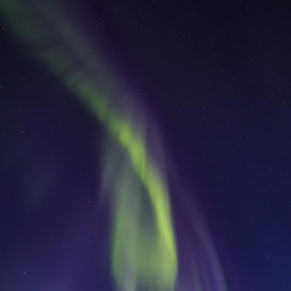 Northern Lights #4, 2016 picture