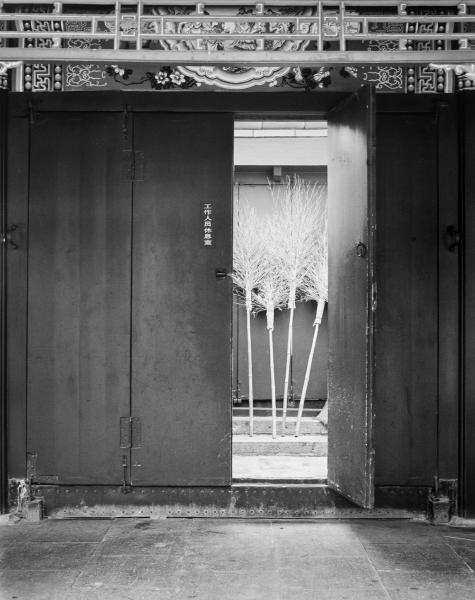 Brooms, Summer Palace, Beijing, China picture