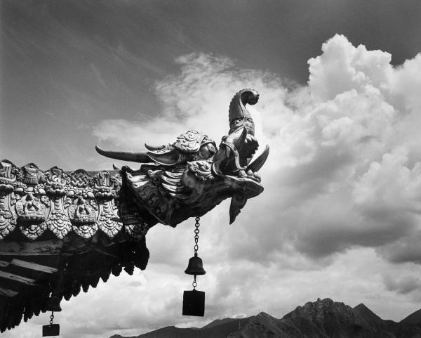 Roof Detail, Jokhang Palace, Tibet picture