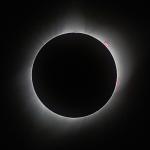 Prominences, 2017 Solar Eclipse