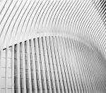Oculus #1, NYC