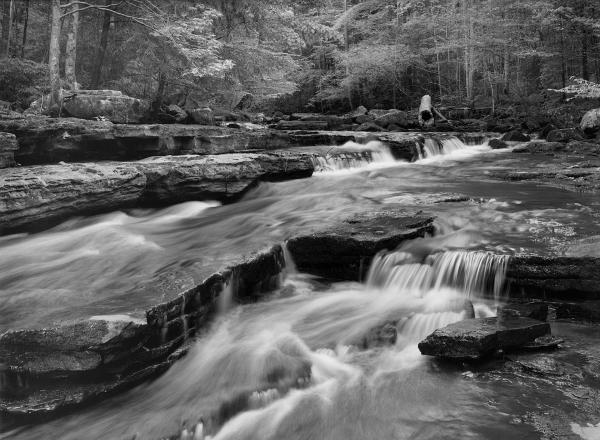 Fiery Gizzard Trail, TN picture