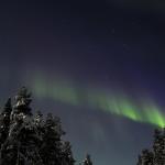 Northern Lights #5