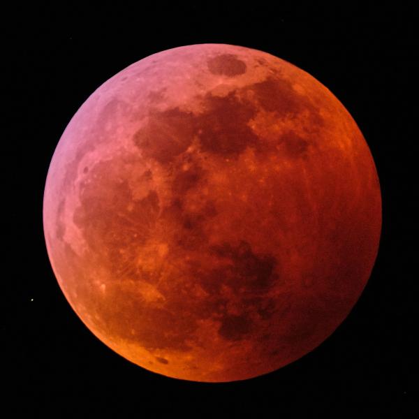 Totality #4, 2019 Lunar Eclipse picture