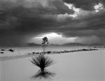 White Sands #4