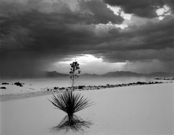 White Sands #4 picture