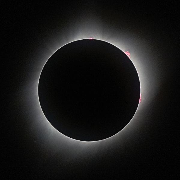 Prominences, 2017 Solar Eclipse picture