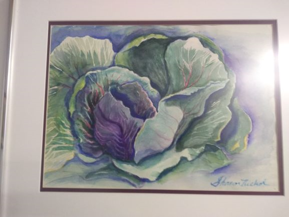 Ornamental Cabbage