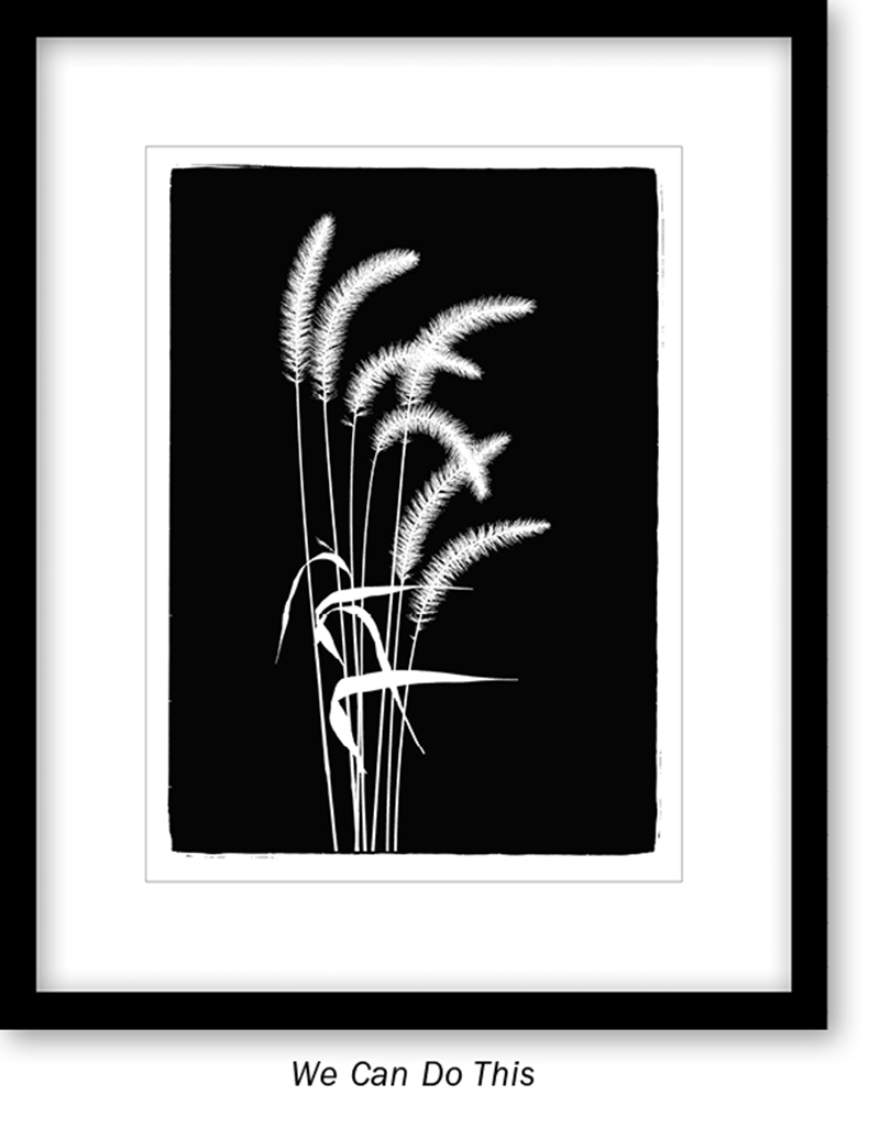 ROADSIDE SILHOUETTES picture