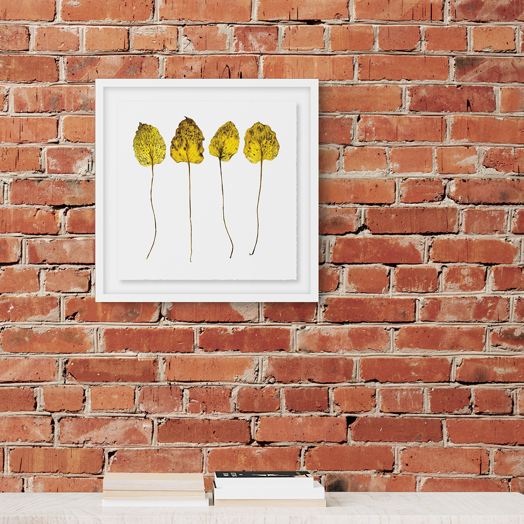 16x16, 20x20 and 25x25in. ELDERLY LEAVES picture