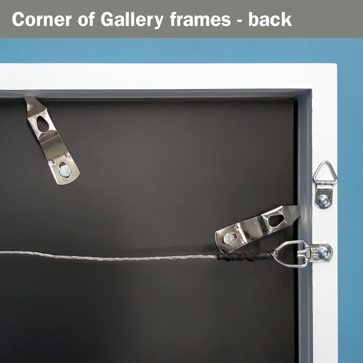 SUMMER SUNSHINE picture