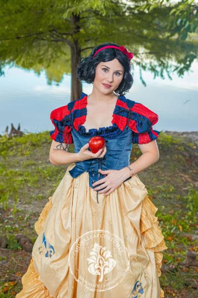 Disney Inspired costumes Cosplay picture