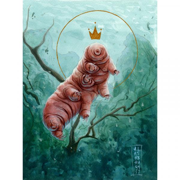 Tardigrade picture