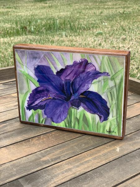 Orquid Purrple Flower Wall Art picture