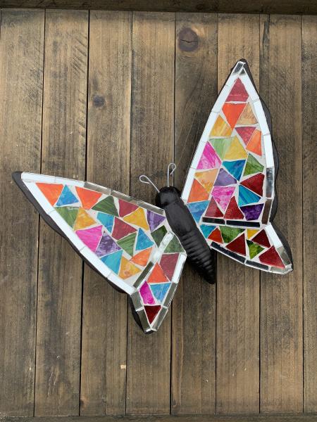 Small Multicolor Butterfly