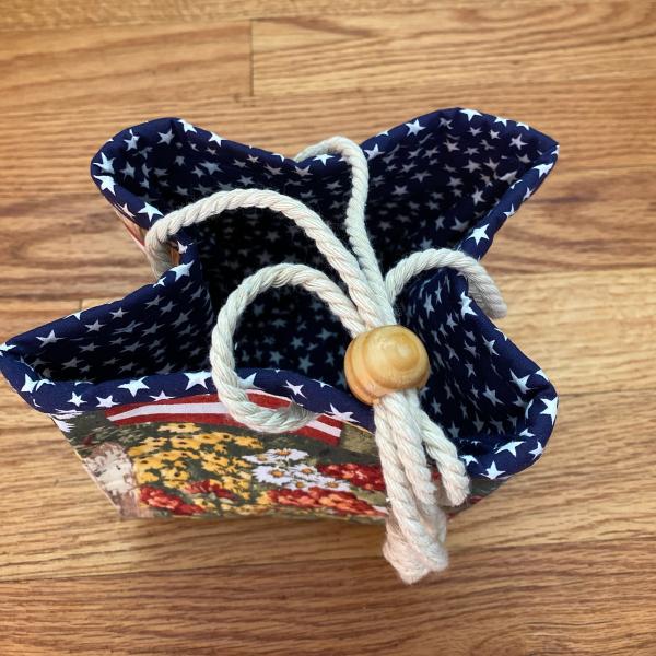Project Bag - Americana picture