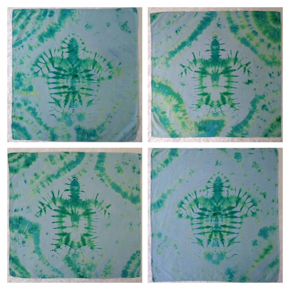 16in Cloth Napkins ~ Turtle Imprint, Set of 4 picture