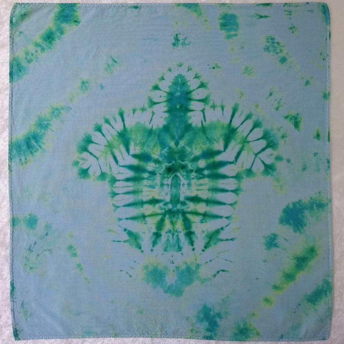 16in Cloth Napkins ~ Turtle Imprint, Set of 4 picture