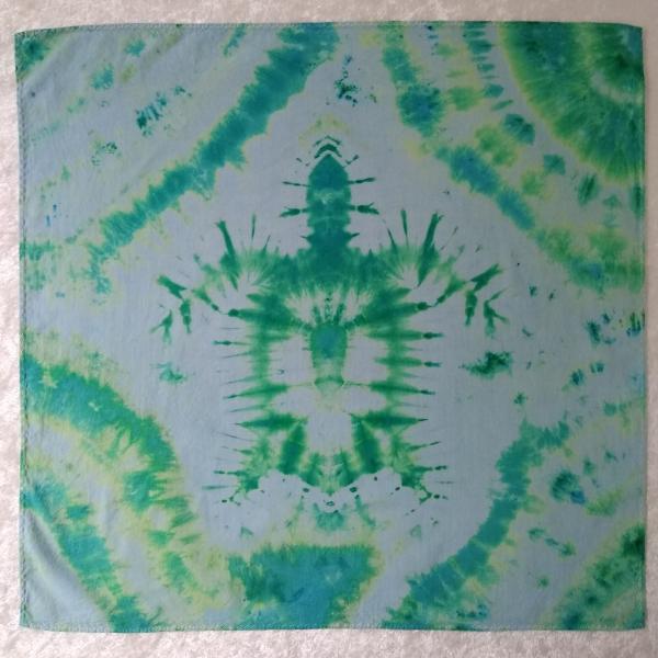 16in Cloth Napkins ~ Turtle Imprint, Set of 4 picture