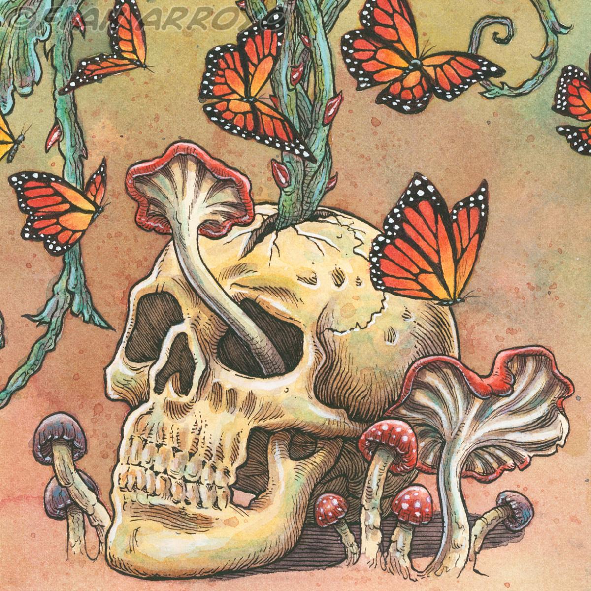 Angels Of Our Better Nature picture