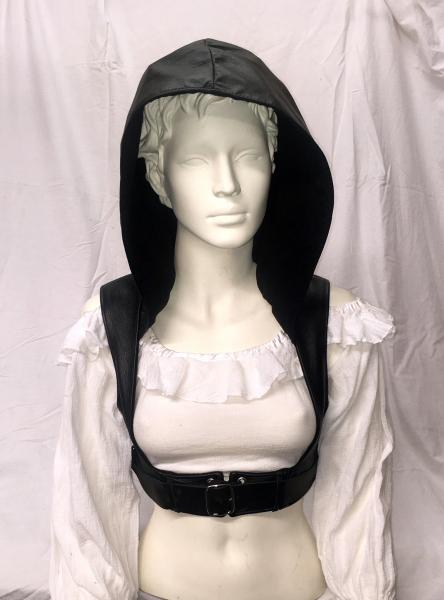 Harness with Hood picture