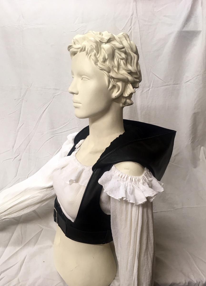 Harness with Hood picture