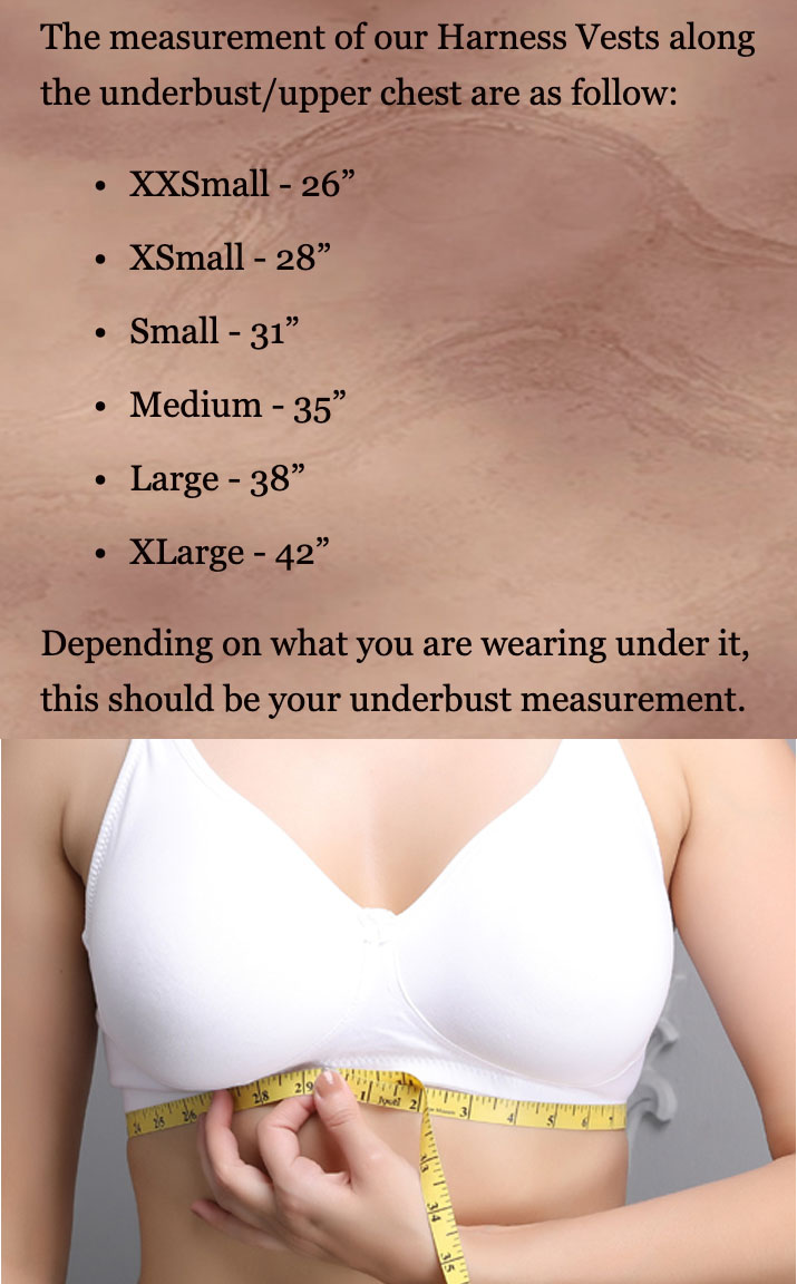 Harness Vest with Belts picture