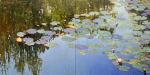 Morning In A Pond