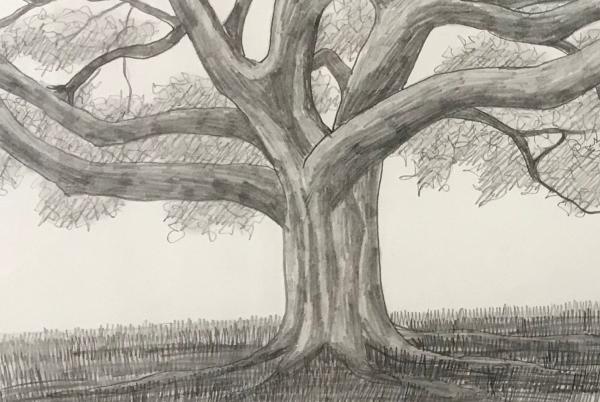 peace tree drawing