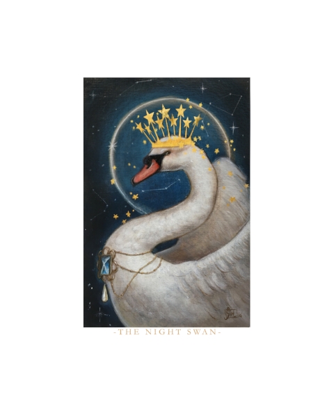 The Night Swan picture