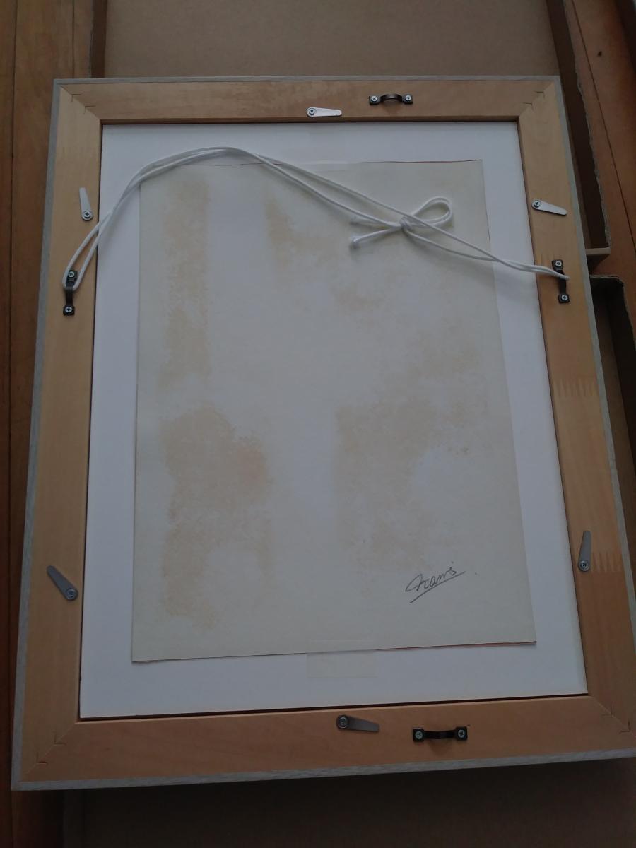 Everything Falls into Place picture