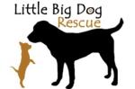 Little Big Dog Rescue