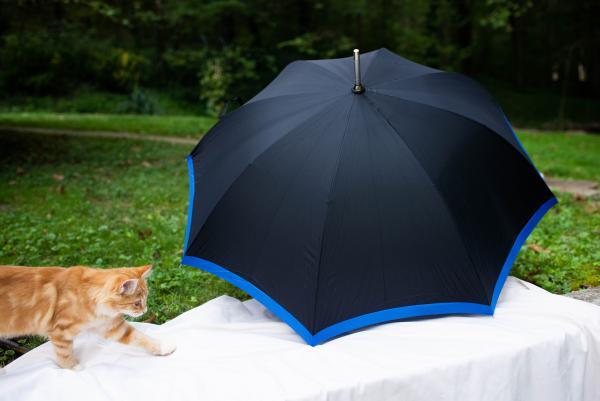 Tennessee Craft Umbrella (Blue/Black) picture