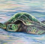 Ashley Carter Art & Sea Glass