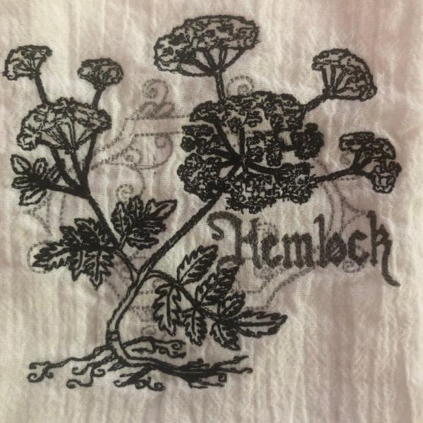 Flour Sack Towel- Hemlock picture