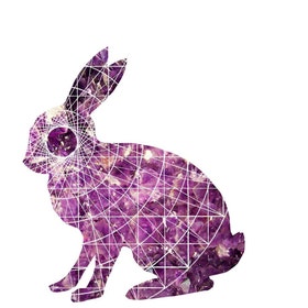 Adam Rabbit