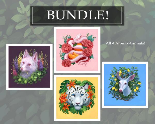 Albino Animals BUNDLE! Signed