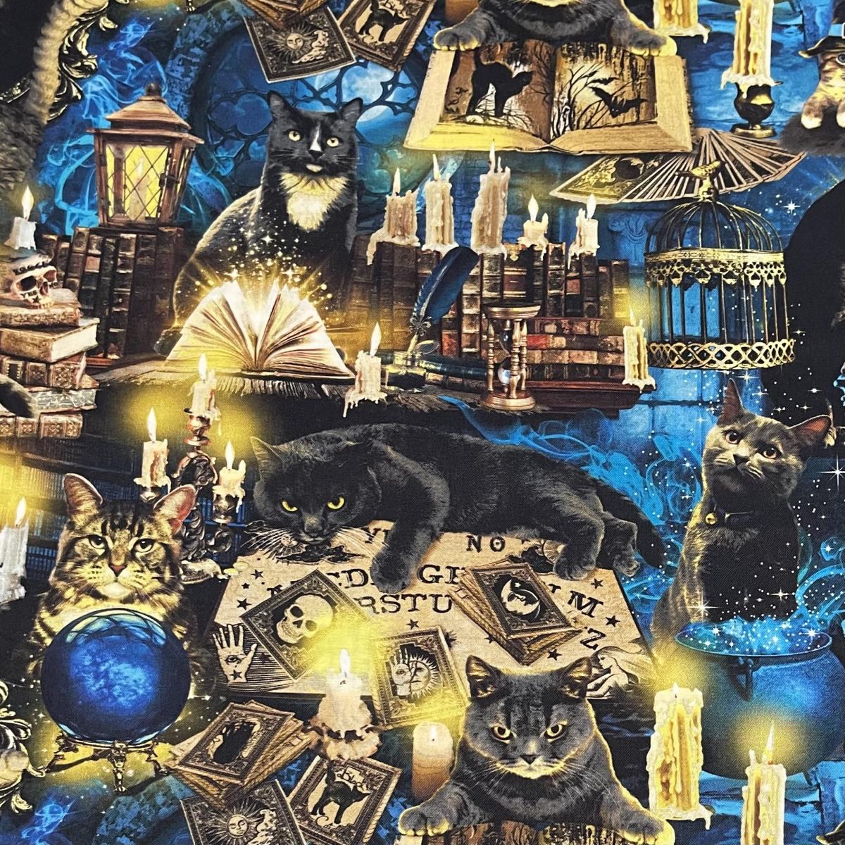 Halloween Black Cat Skirt with POCKETS picture