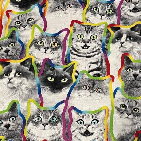 Rainbow Outlines Cats Skirt with POCKETS picture