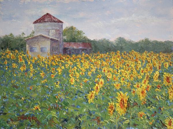 Sunflower Field