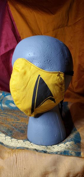 Star Trek Facemask picture