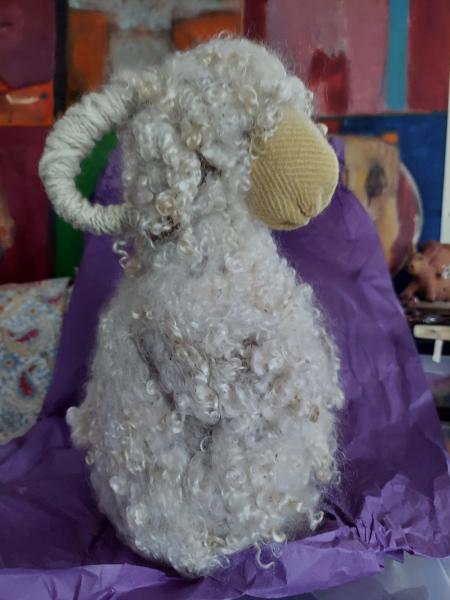 Angora goat picture