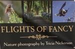 Flights of Fancy