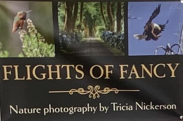 Flights of Fancy