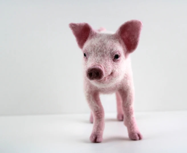 Pippin The Pig | Needle Felting Kit picture
