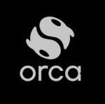 Orca ABA Therapy