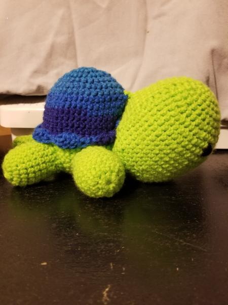 Small Turtles
