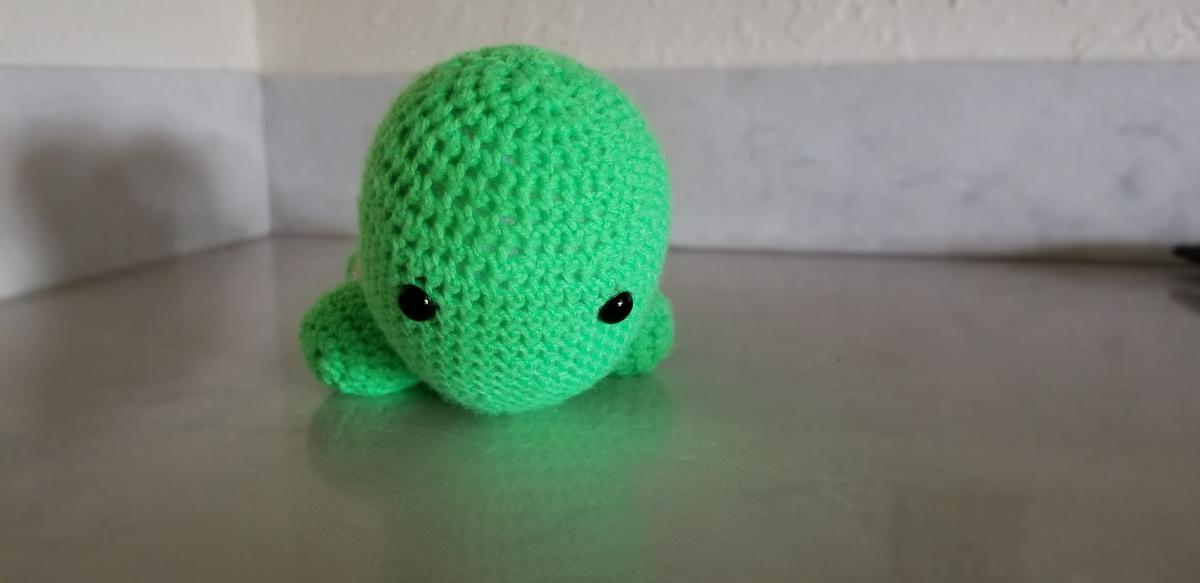 Small Turtles picture