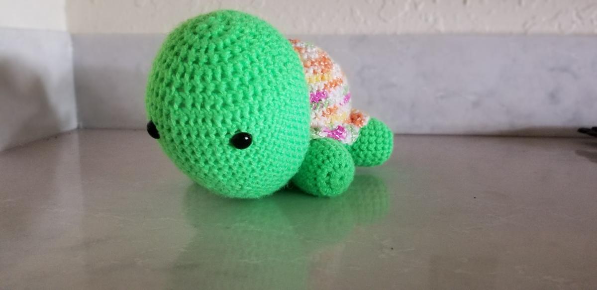 Small Turtles picture